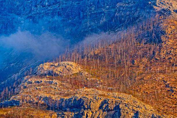 istock Waterton National Park in Alberta Canada 1482300918