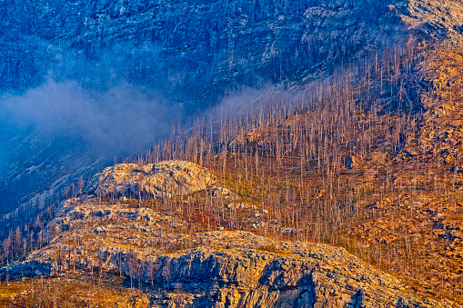 Rocky Mountain views after a forest fire in Waterton National Park in Alberta Canada