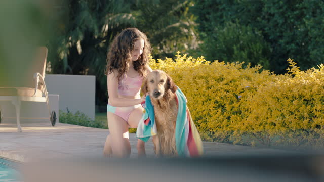 happy girl drying wet dog with towl after swimming in pool child enjoying summer vacation with golden retriever animal companion having fun afternoon at summertime holiday home 4k
