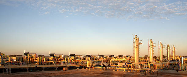 Natural gas compressors and distribution