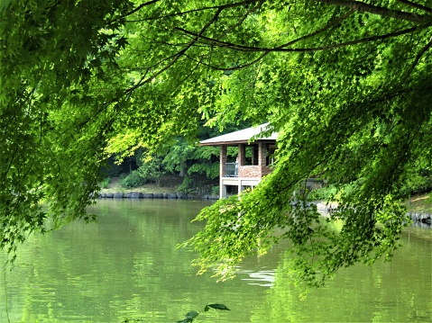 Utsunomiya, Tochigi Central Park.