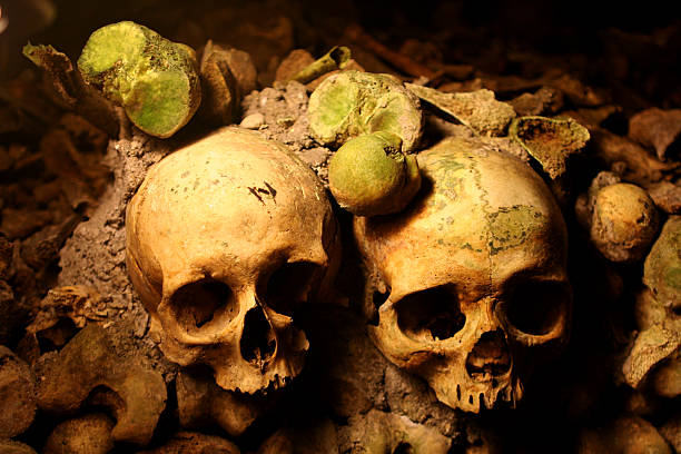 istock Pair of Skulls in Catacomb 148230736