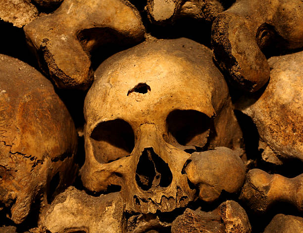 Picture of lone skull with instrusion on head.  great detail is shown in texture of skull