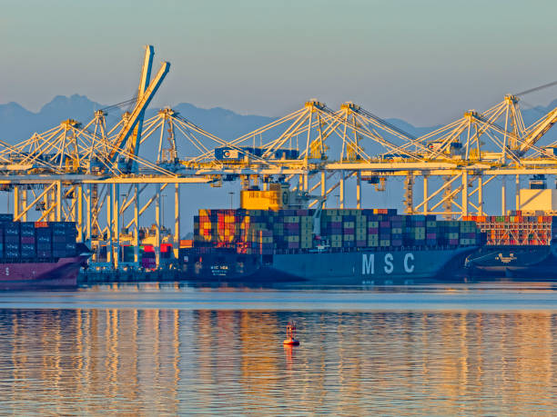 istock Vancouver Frazer Valley in British Columbia 1482307790