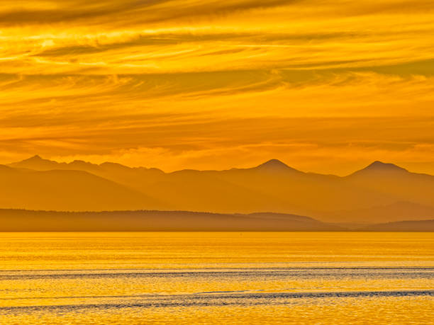 istock Vancouver Island British Columbia 1482308080