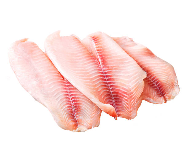 istock fresh raw tilapia fish fillet isolated on white background. 1482312063