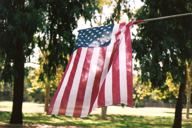 istock American Flag Waves in the Breeze 1482318187