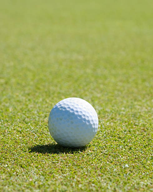 istock Golf ball on the putting green 148232028