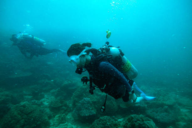 istock People scuba diving underwater 1482320578
