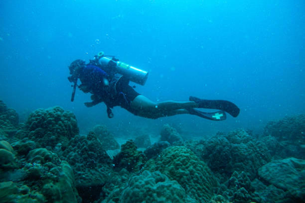 istock People scuba diving underwater 1482320608