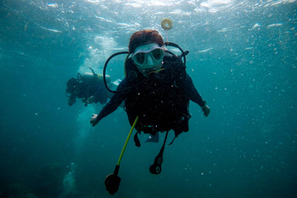 istock People scuba diving underwater 1482320614