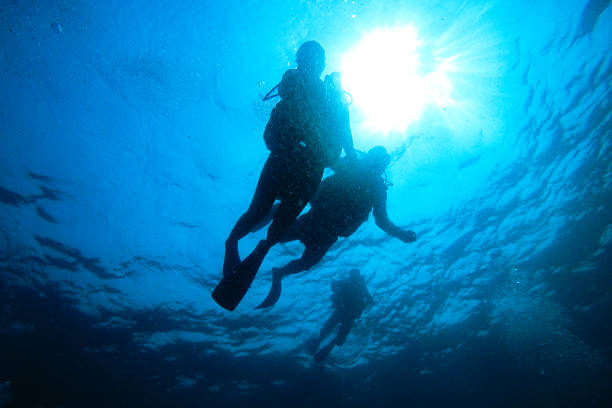 istock People scuba diving underwater 1482321147