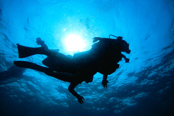 istock People scuba diving underwater 1482321157