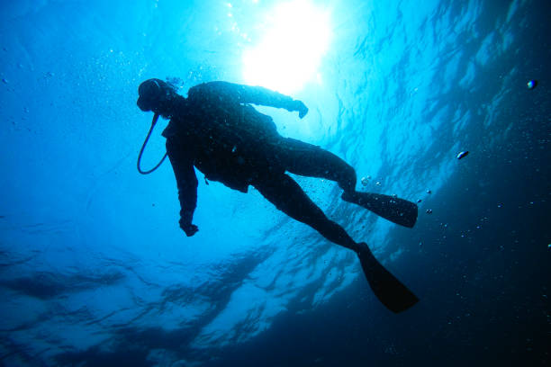 istock People scuba diving underwater 1482321216