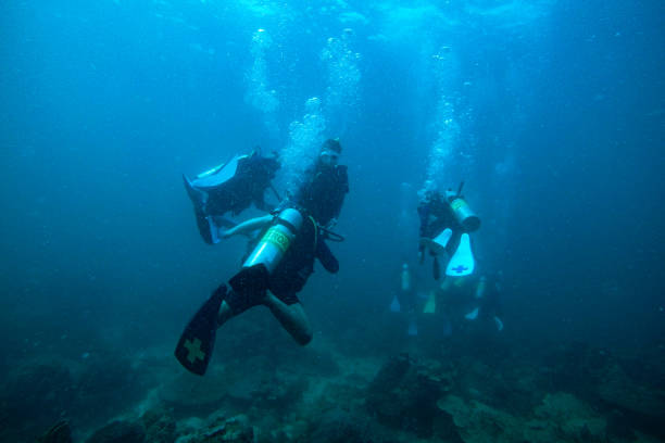 istock People scuba diving underwater 1482321217