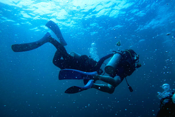 istock People scuba diving underwater 1482321222