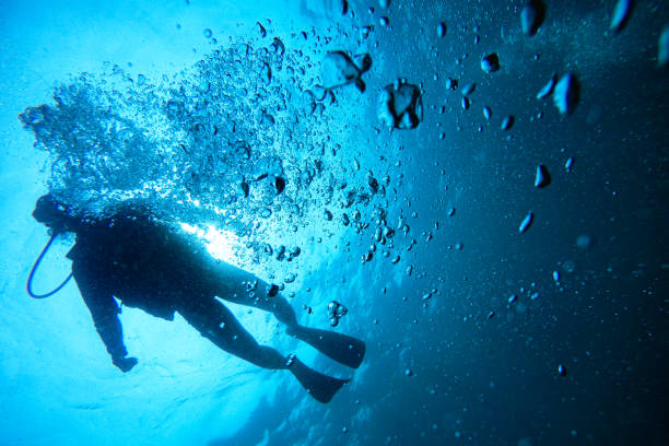 istock People scuba diving underwater 1482321223