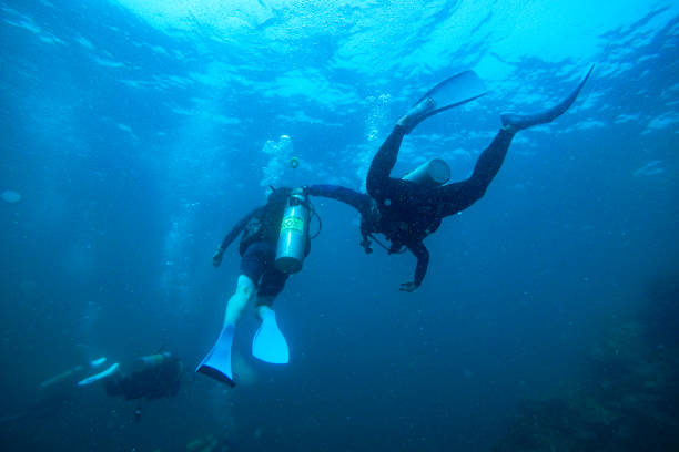 istock People scuba diving underwater 1482321227