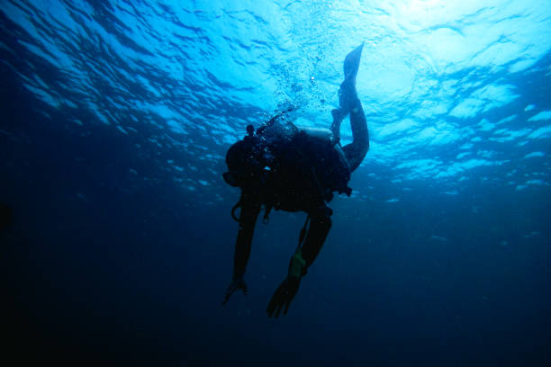 istock People scuba diving underwater 1482321238