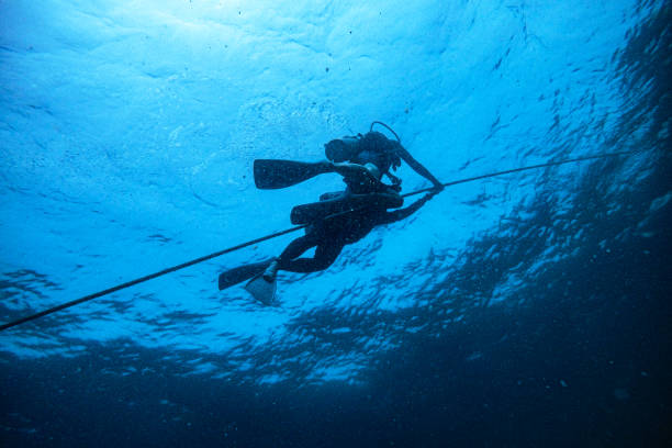 istock People scuba diving underwater 1482321263