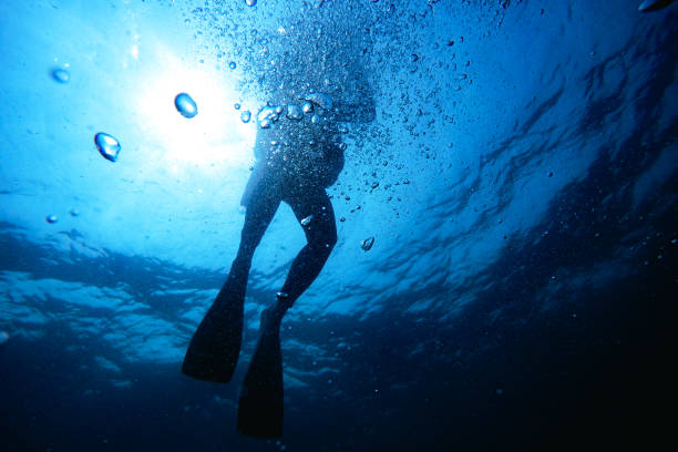 istock People scuba diving underwater 1482321278
