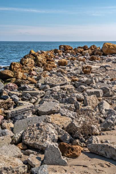 istock Large boulders of shell rock on the seashore 1482323170