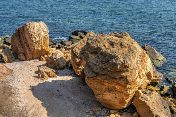 istock Large boulders of shell rock on the seashore 1482323180