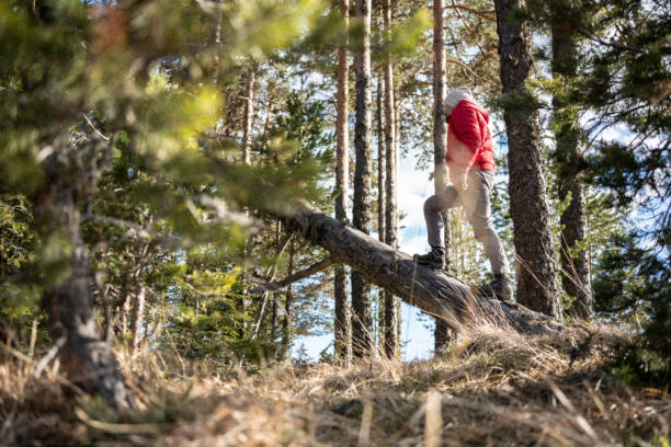 istock People and Nature. Man in the woods. 1482323470