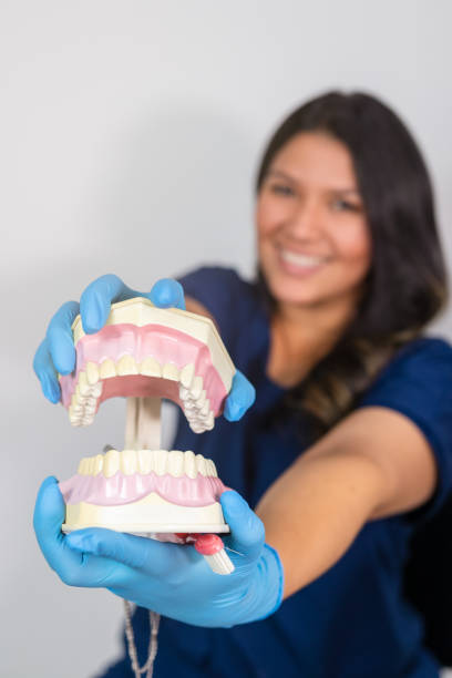 istock Dental Model Typodont Held by Dentist in Out of Focus Background 1482327446