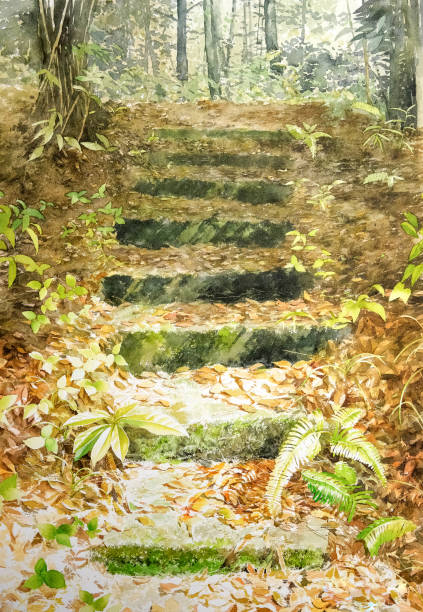 Dalat forest watercolor art painting