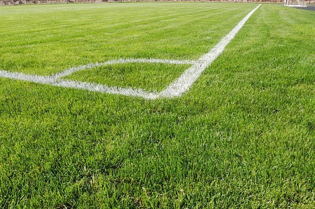 istock View of soccer field from corner 148233038