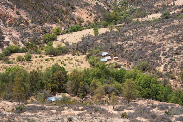 istock An abandoned rural house in the mountains with cactus 1482335713