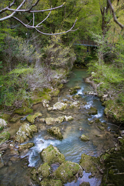 istock Italy, landscape waterfall in the forest appennini montain 1482335869