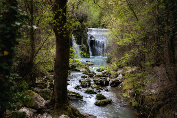 istock Italy, landscape waterfall in the forest appennini montain 1482336034