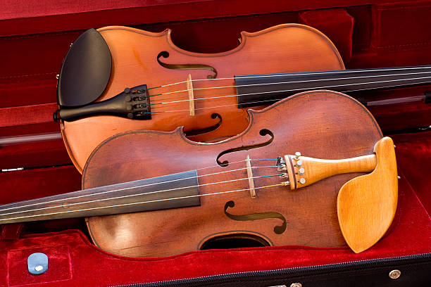 2 violins descansar en el caso de - foto de stock