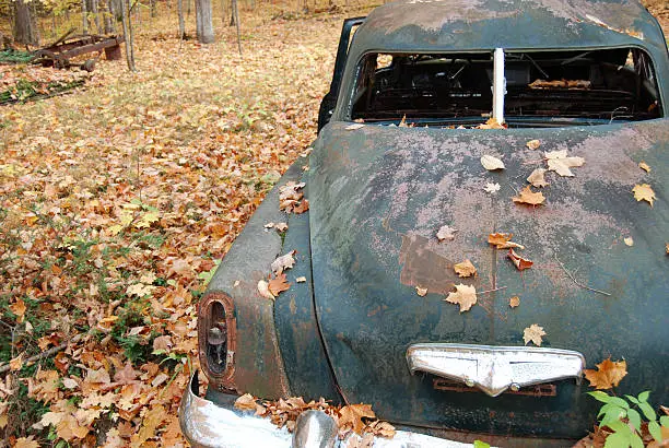 An old abandoned Studebaker sits back in the woods amid falling leaves