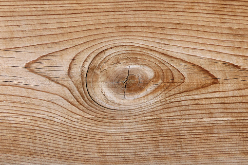 close-up old wood texture background