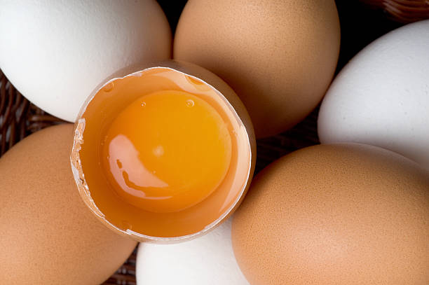 egg stock photo