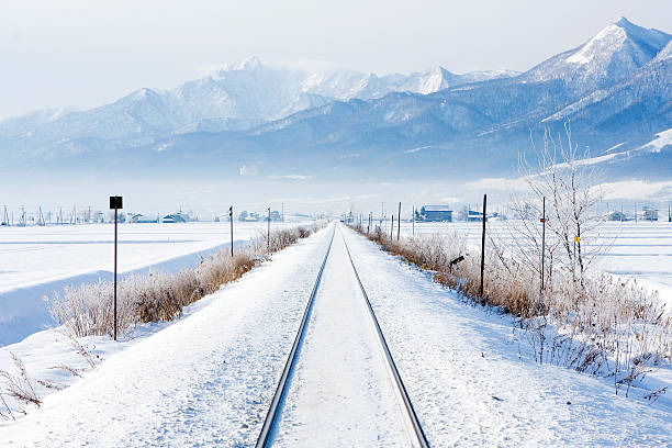 winter railroad japanese railroad furano basin stock pictures, royalty-free photos & images