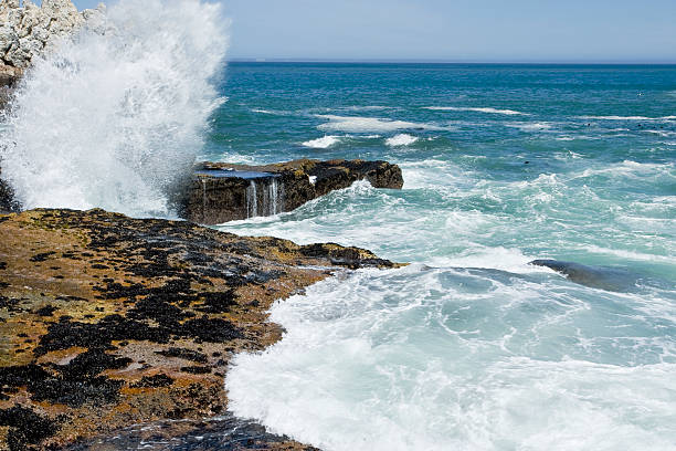 istock Coastline sea view Hermanus 148234209