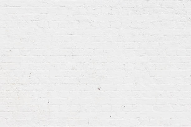 istock Part of a freshly painted old white brick wall 1482345182
