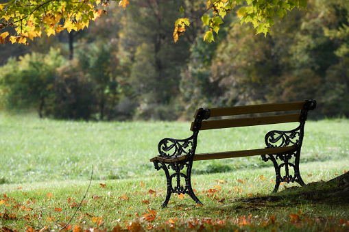 Old bench in the park of Wroclaw, Poland