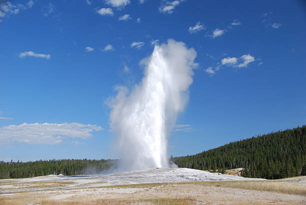 Old Faithful water geyser at Yellowstone National Park stock photo