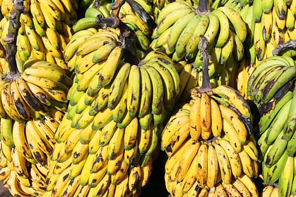 Tas de bananes - Photo