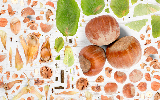 Abstract background made of Hazelnut pieces, slices and leaves on wooden background.