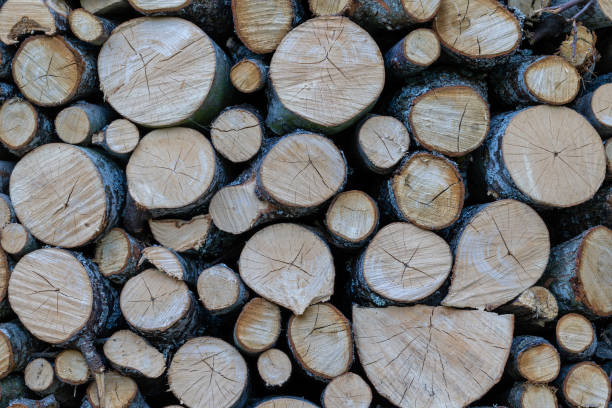 istock wood cut and stacked ready for the fireplace 1482353428
