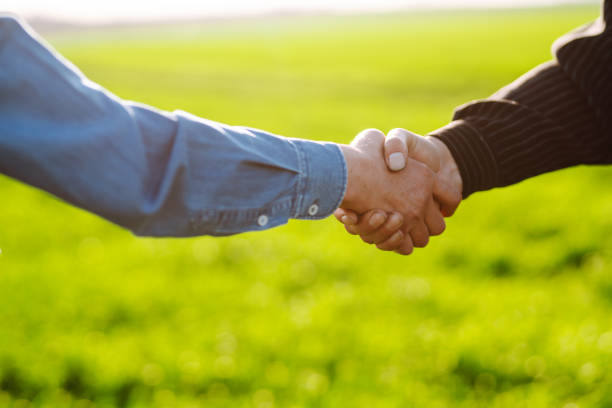 istock Two farmers agree by shaking hands in a green wheat field. 1482354688