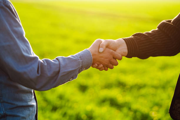 istock Two farmers agree by shaking hands in a green wheat field. 1482354712
