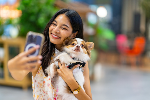 Happy Asian woman using mobile phone taking selfie with her chihuahua dog at pets friendly shopping mall. Domestic dog with owner enjoy urban outdoor lifestyle on summer vacation. Pet Humanization concept.