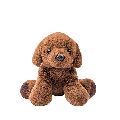 children's toy brown dog, isolated on a white background. copy space.